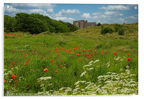 Bamburgh Castle, Northumberland amongst the wild flowers Acrylic by Jenny Hibbert