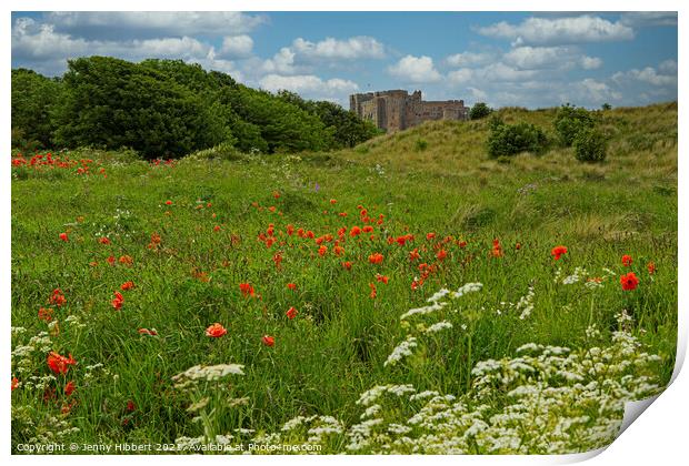 Bamburgh Castle, Northumberland amongst the wild flowers Print by Jenny Hibbert