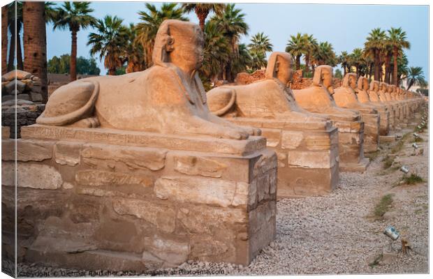 Avenue of Sphinxes in Luxor, Egypt Canvas Print by Dietmar Rauscher