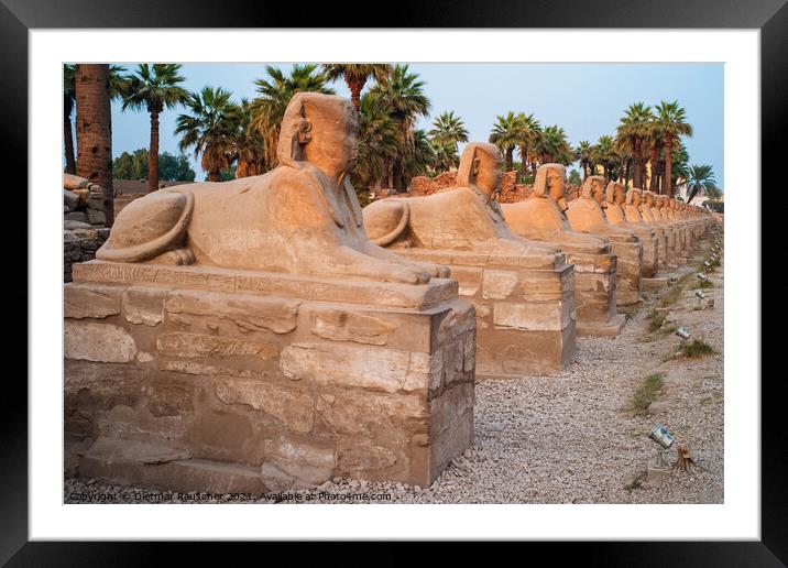 Avenue of Sphinxes in Luxor, Egypt Framed Mounted Print by Dietmar Rauscher