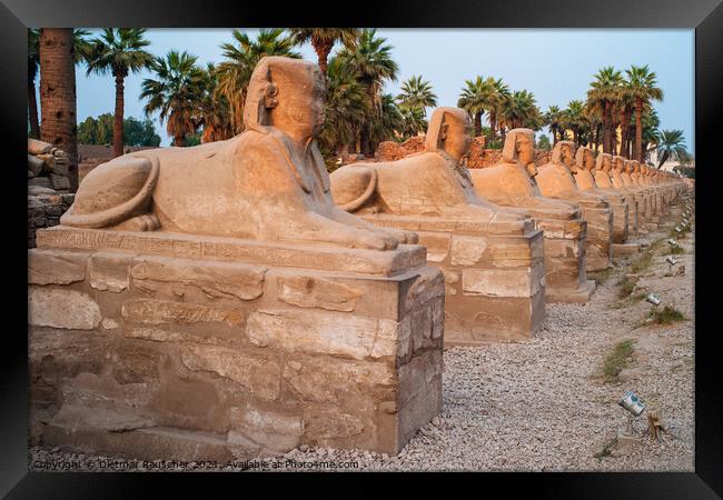Avenue of Sphinxes in Luxor, Egypt Framed Print by Dietmar Rauscher
