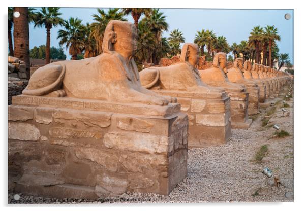 Avenue of Sphinxes in Luxor, Egypt Acrylic by Dietmar Rauscher