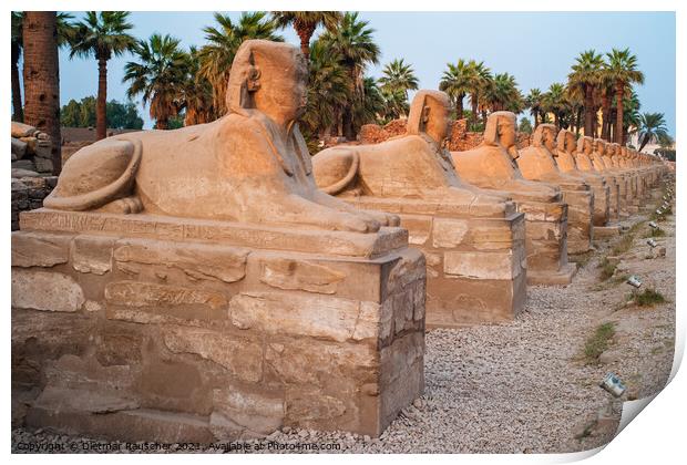 Avenue of Sphinxes in Luxor, Egypt Print by Dietmar Rauscher