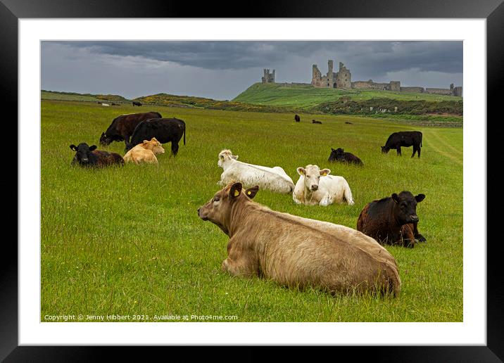 Dunstanburgh Castle with cows in the field Framed Mounted Print by Jenny Hibbert