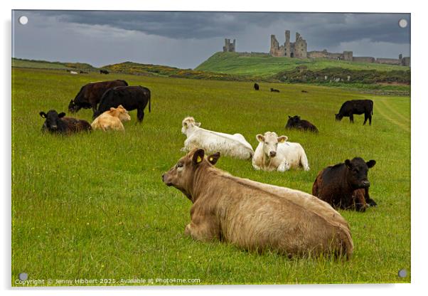 Dunstanburgh Castle with cows in the field Acrylic by Jenny Hibbert