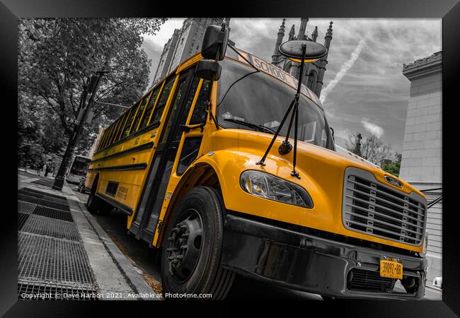 USA School Bus Framed Print by Dave Harbon