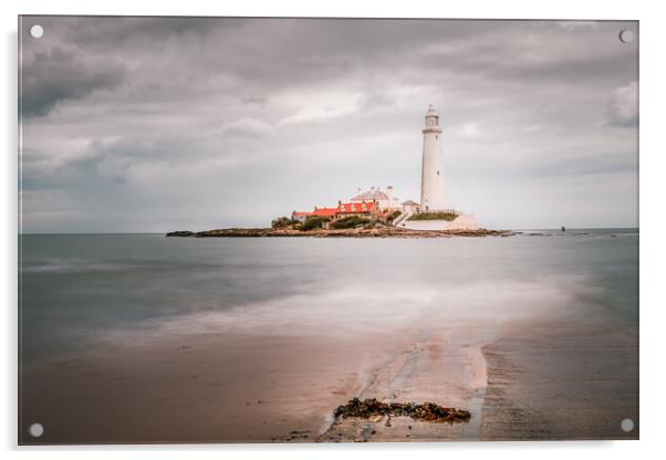 St Mary's Lighthouse Acrylic by Mark Jones