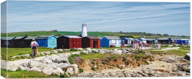 Old Lower Lighthouse Portland Bill Canvas Print by Peter F Hunt