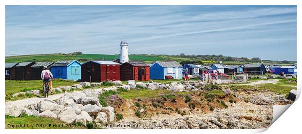 Old Lower Lighthouse Portland Bill Print by Peter F Hunt