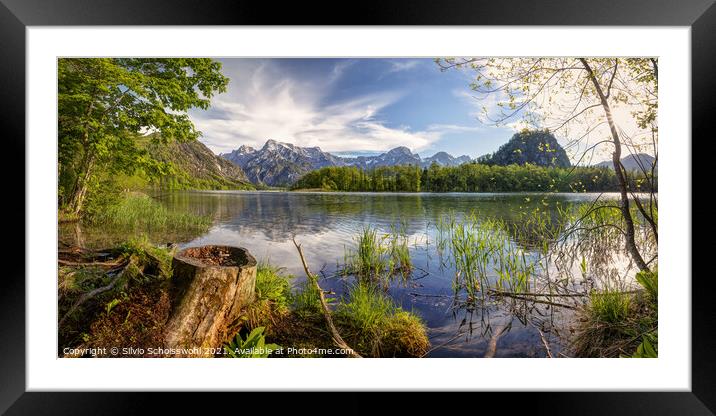Early summer at the Almsee Framed Mounted Print by Silvio Schoisswohl