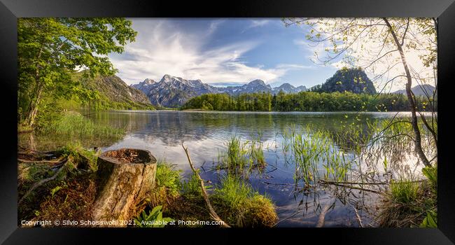 Early summer at the Almsee Framed Print by Silvio Schoisswohl