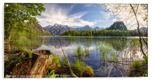 Early summer at the Almsee Acrylic by Silvio Schoisswohl
