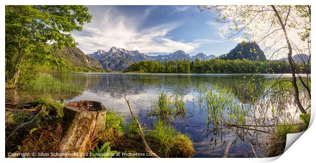 Early summer at the Almsee Print by Silvio Schoisswohl