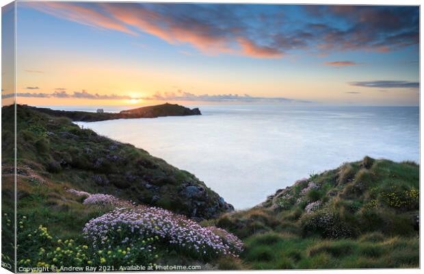 Spring sunset (Newquay)  Canvas Print by Andrew Ray