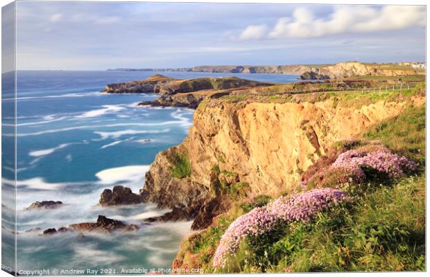 Coast Path view (Newquay) Canvas Print by Andrew Ray