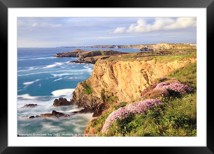Coast Path view (Newquay) Framed Mounted Print by Andrew Ray