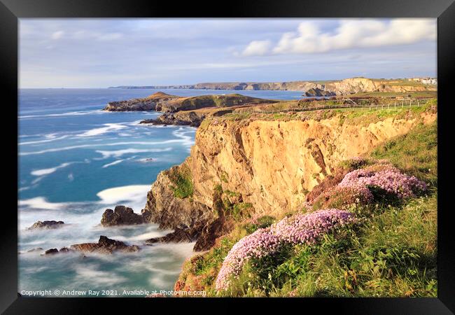 Coast Path view (Newquay) Framed Print by Andrew Ray