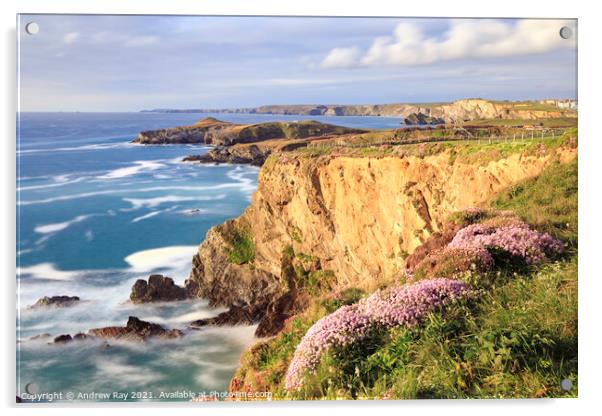 Coast Path view (Newquay) Acrylic by Andrew Ray
