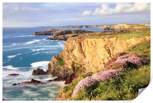 Coast Path view (Newquay) Print by Andrew Ray