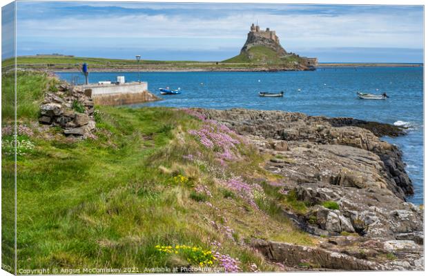 Wildflowers and sea cliffs, Holy Island Canvas Print by Angus McComiskey