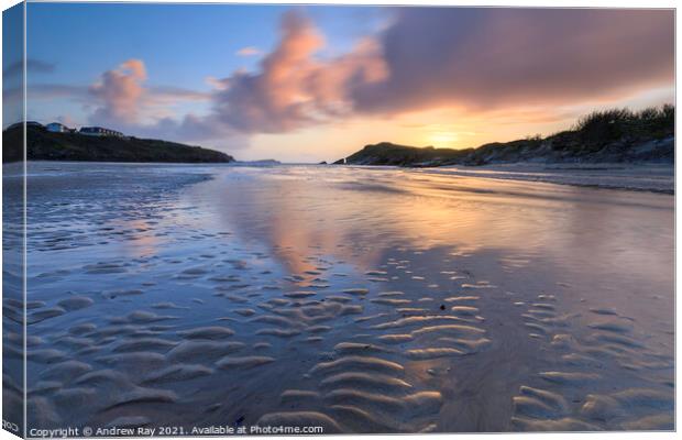 Beach at Porth Canvas Print by Andrew Ray