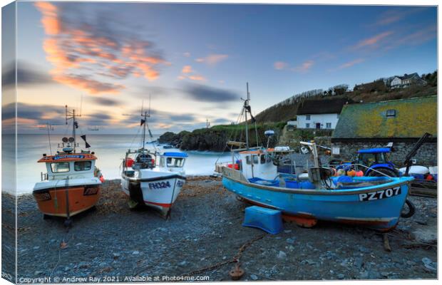 Boats on Cadgwith Cove Beach  Canvas Print by Andrew Ray