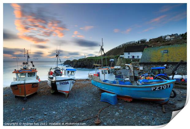 Boats on Cadgwith Cove Beach  Print by Andrew Ray
