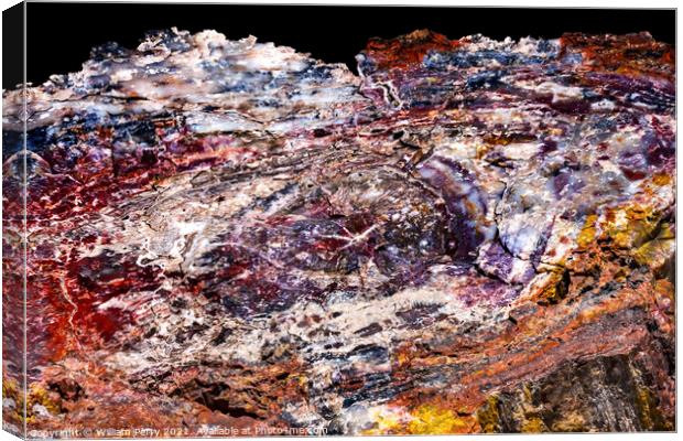 Petrified Wood Rock Abstract National Park Arizona Canvas Print by William Perry