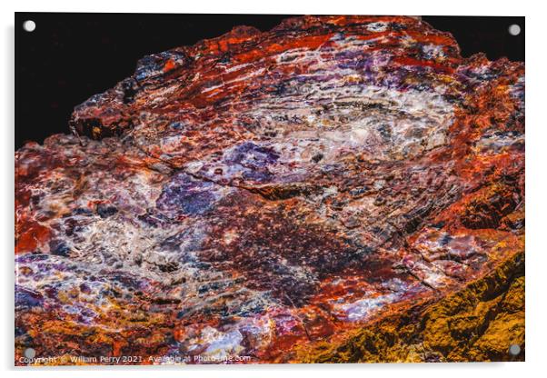 Petrified Wood Rock Abstract National Park Arizona Acrylic by William Perry