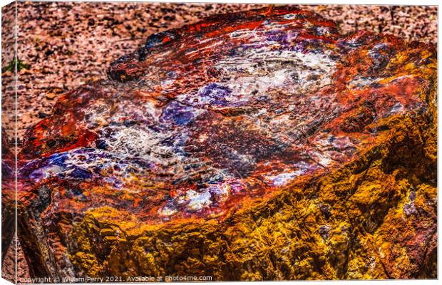 Petrified Wood Rock Log National Park Arizona Canvas Print by William Perry