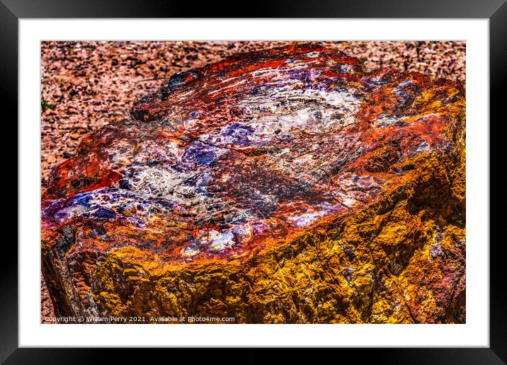 Petrified Wood Rock Log National Park Arizona Framed Mounted Print by William Perry