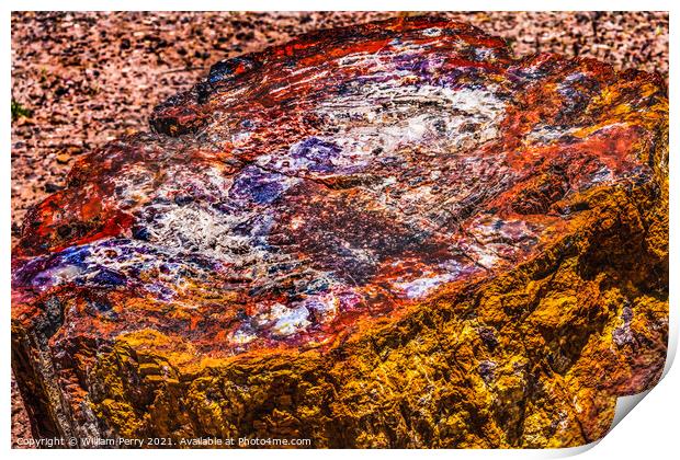 Petrified Wood Rock Log National Park Arizona Print by William Perry
