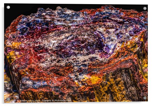 Petrified Wood Rock Abstract National Park Arizona Acrylic by William Perry