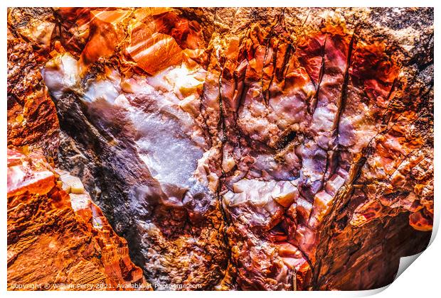 Petrified Wood Rock Abstract National Park Arizona Print by William Perry