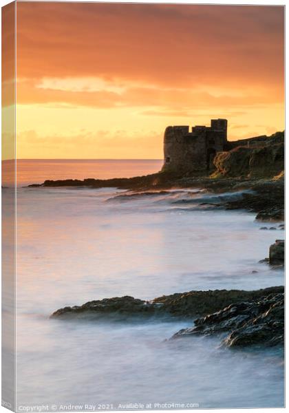 Pendennis Point at sunrise (Falmouth) Canvas Print by Andrew Ray