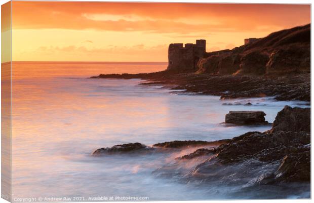 Pendennis Point  Canvas Print by Andrew Ray