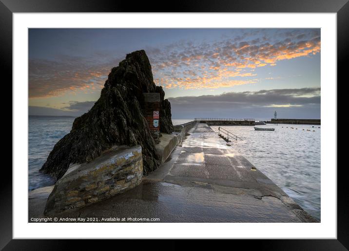 Mevagissey Pier View  Framed Mounted Print by Andrew Ray