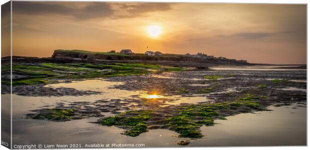 Green and Gold of Hilbre Island Canvas Print by Liam Neon