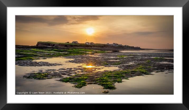 Green and Gold of Hilbre Island Framed Mounted Print by Liam Neon
