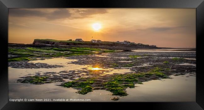 Green and Gold of Hilbre Island Framed Print by Liam Neon