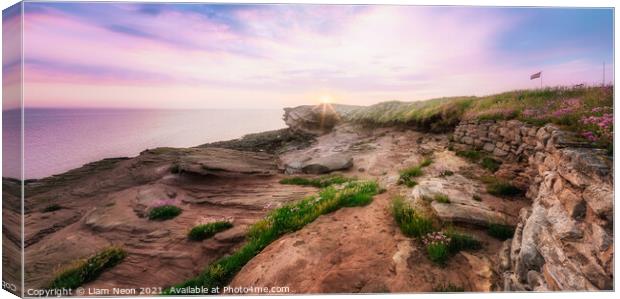 Thrift on the Rocks at Hilbre Island Canvas Print by Liam Neon