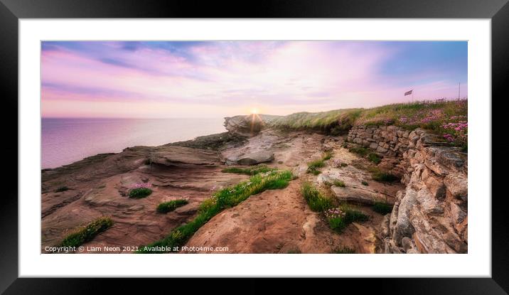 Thrift on the Rocks at Hilbre Island Framed Mounted Print by Liam Neon
