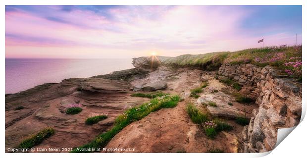 Thrift on the Rocks at Hilbre Island Print by Liam Neon