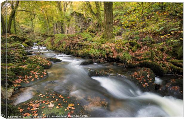 River Kennall at Kennall Vale  Canvas Print by Andrew Ray