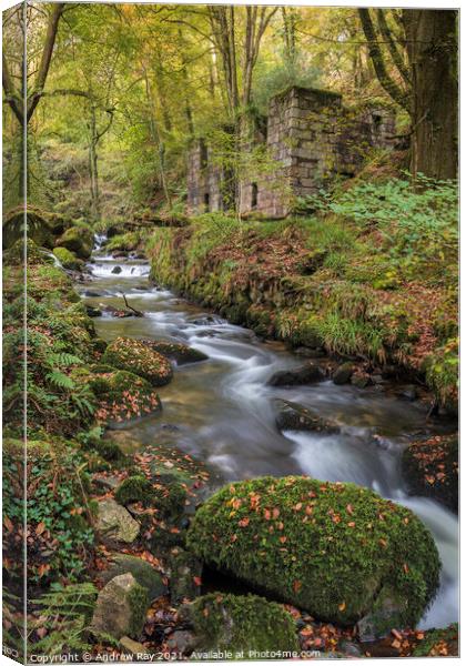 River at Kennall Vale  Canvas Print by Andrew Ray