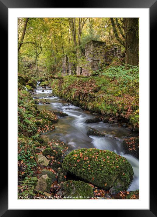 River at Kennall Vale  Framed Mounted Print by Andrew Ray