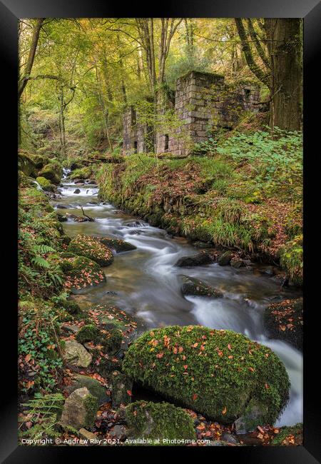 River at Kennall Vale  Framed Print by Andrew Ray