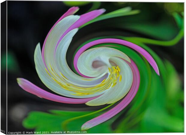 Aquilegia Swirl Canvas Print by Mark Ward