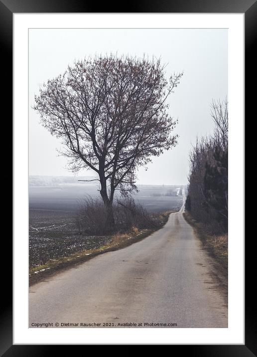 Dreary, Lonely Country Road in Winter in Czech Republic Framed Mounted Print by Dietmar Rauscher