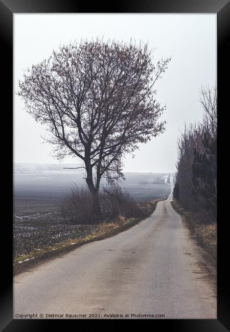 Dreary, Lonely Country Road in Winter in Czech Republic Framed Print by Dietmar Rauscher
